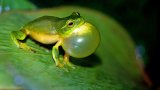 david-clode-OZJdNV99BgU-unsplash