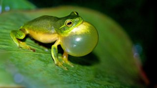 david-clode-OZJdNV99BgU-unsplash