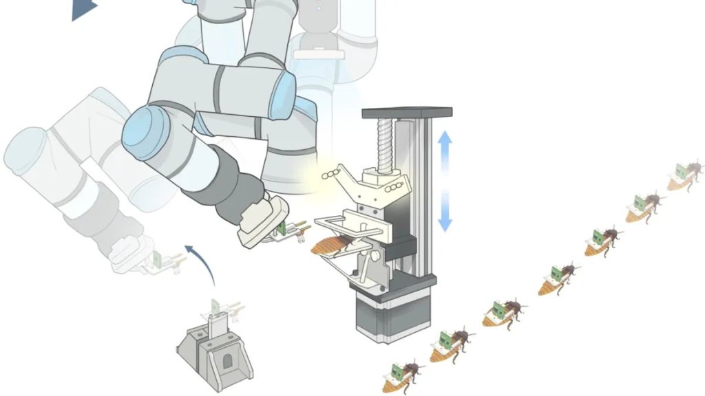insect-cyborg-factory-l