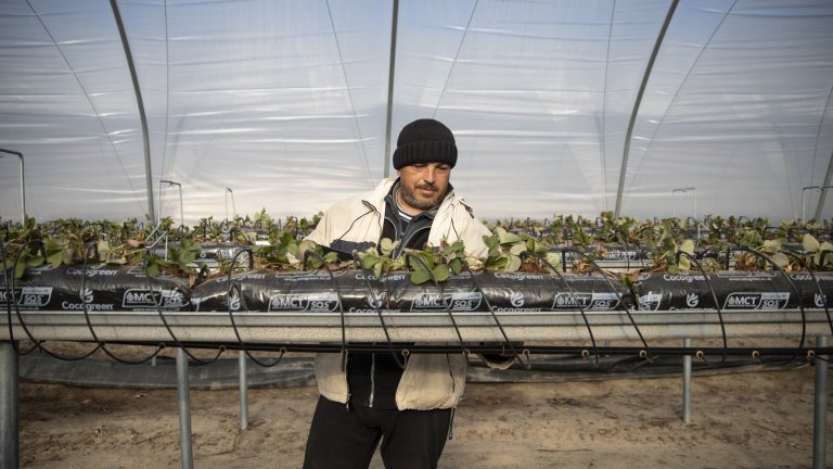 Или как можеш да отидеш на Острова с обещания за работа, а да се върнеш с дългове