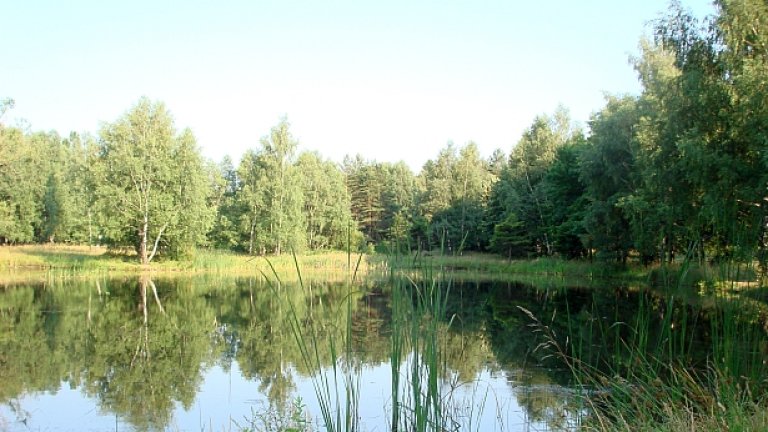 Чукайте се не само по горичките, но и ЗА тях