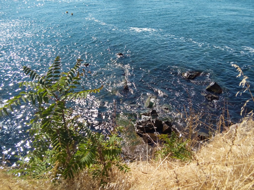 черно море, остров света анастасия,
