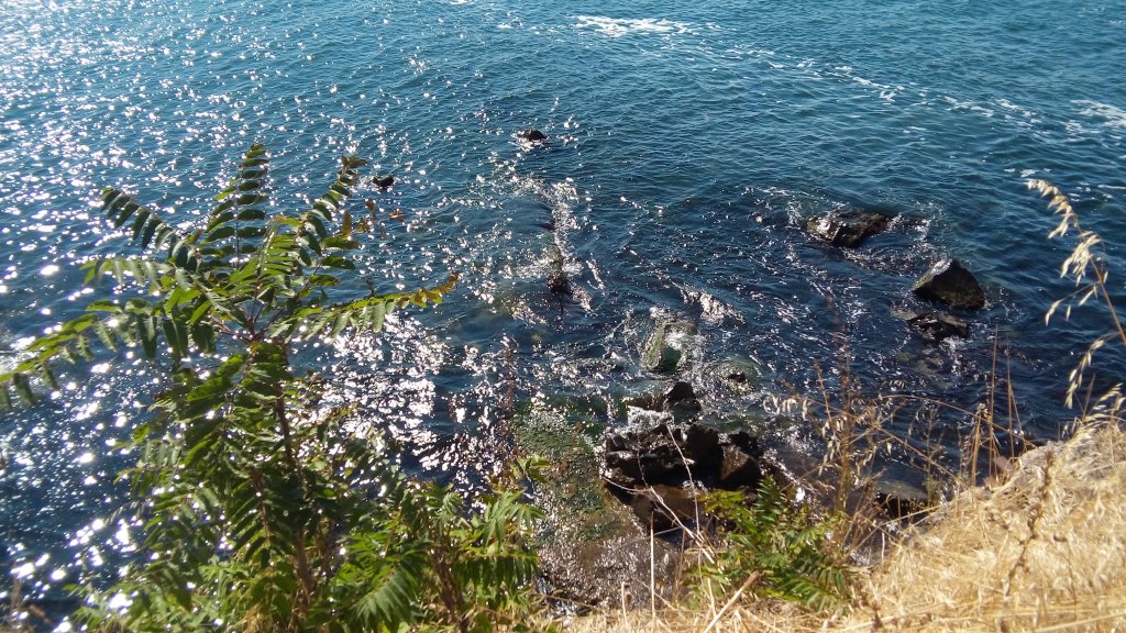 черно море, остров света анастасия,