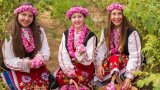 Празникът на розата ще завърши в неделя вечер с музикална програма
