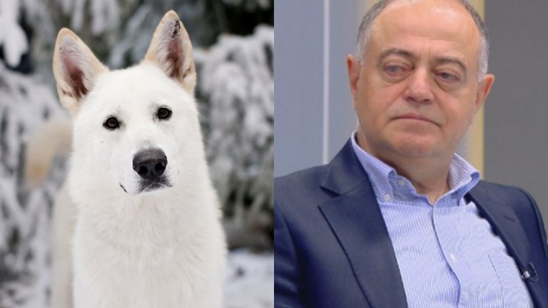 Атанас Атанасов - Вълчището на Роб Старк
Във всяка партия има една негласна позиция на "бясно куче", което хапе противниците, влиза в скандали с тях, не се свени да отправя обвинения и т.н. В ДСБ Атанас Атанасов беше този човек.
