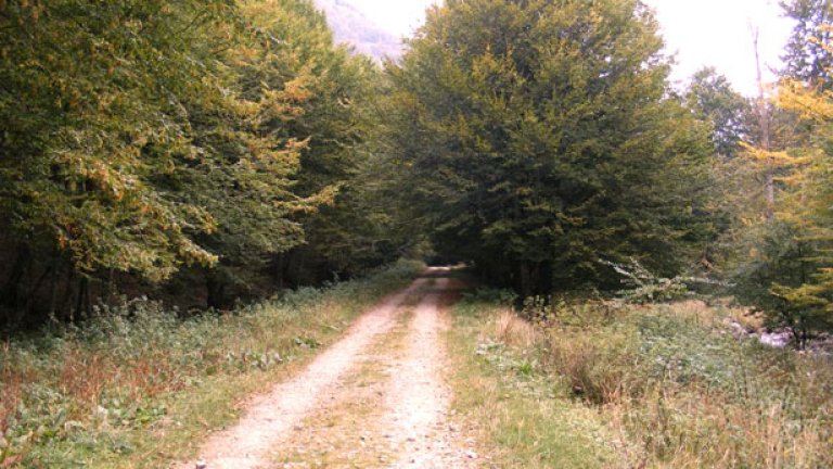 С деца на Балкана