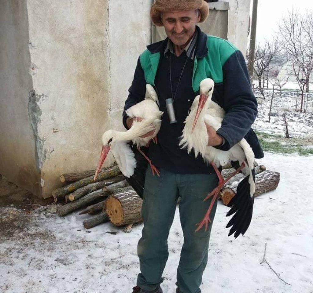 Сафет Халид