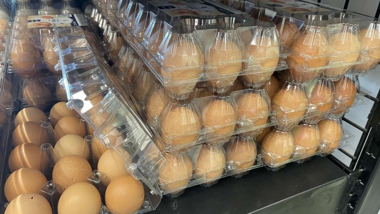 Партидите с яйца са били тествани за забранени ветеринарни продукти, антибиотици, тежки метали и радиоактивност, но всички резултати са отрицателни