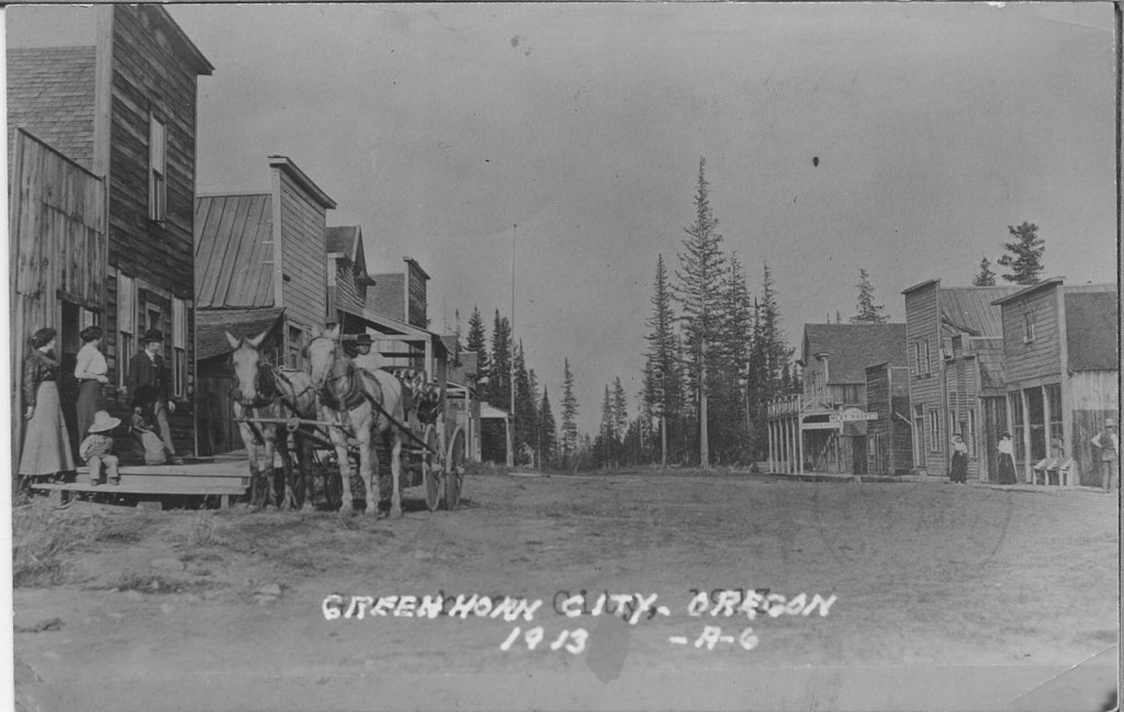 Greenhorn_7