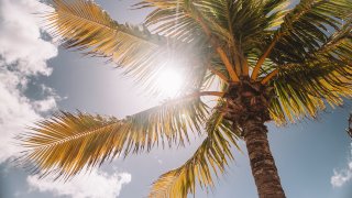 jared-rice-Tf-qtxkNisk-unsplash