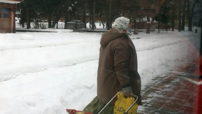 Теснолинейката