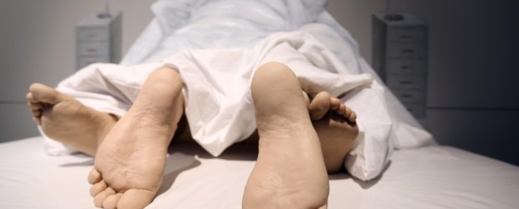 Ausstellung-Sex-und-Evolution-