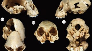 44c99b8c759d6e58fc89922dd78dffc41