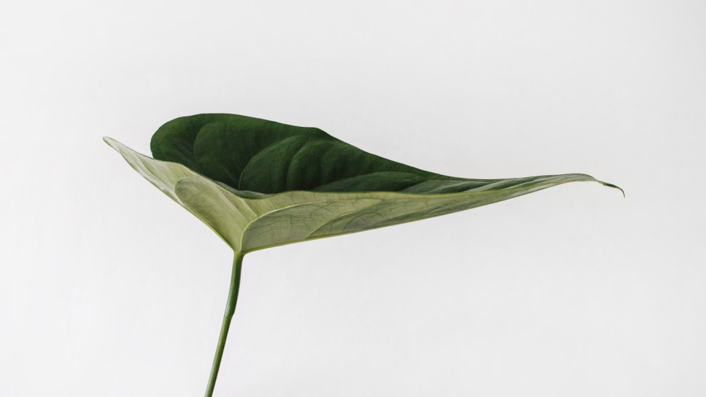 sarah-dorweiler-9Z1KRIfpBTM-unsplash