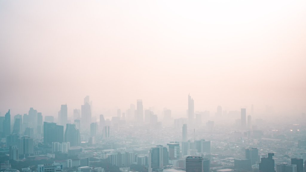 nick-van-den-berg-2vb-_3t6YCM-unsplash