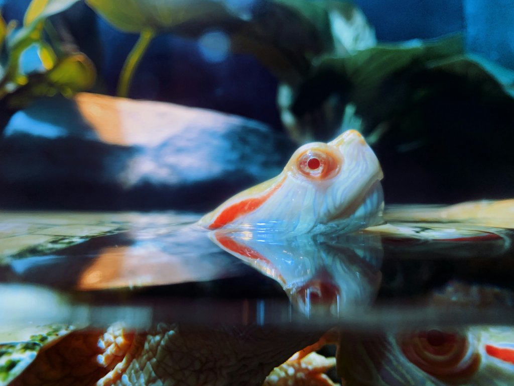 tommy-bond-rJFBwUiTs_Y-unsplash