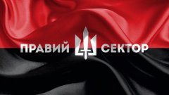Националисти от "Десен сектор" участваха в смяната на властта в Украйна