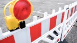 Причината е санитарна сеч