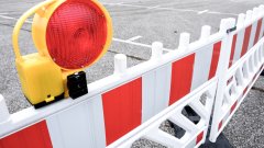 Причината е санитарна сеч