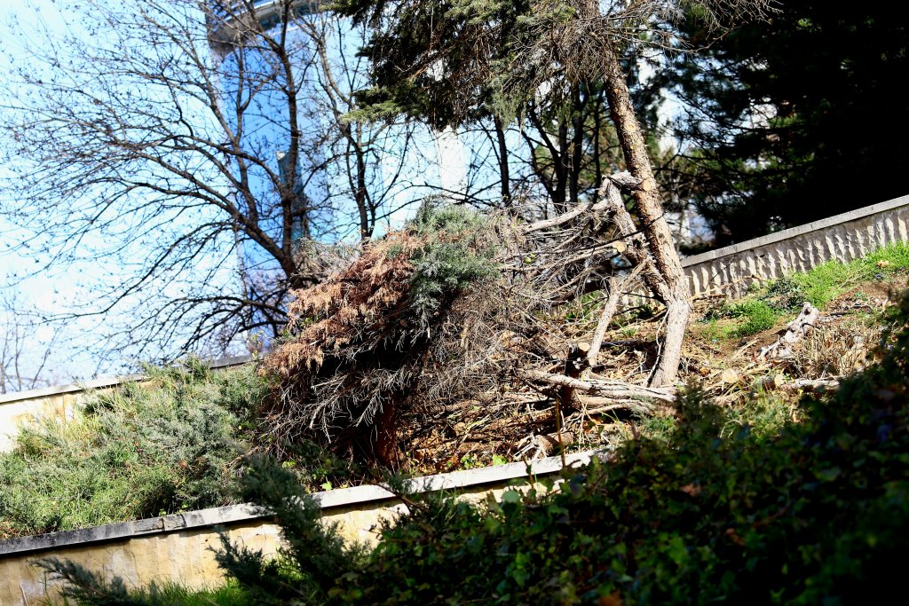 Какви са щетите от ураганния вятър в София и в страната (снимки)