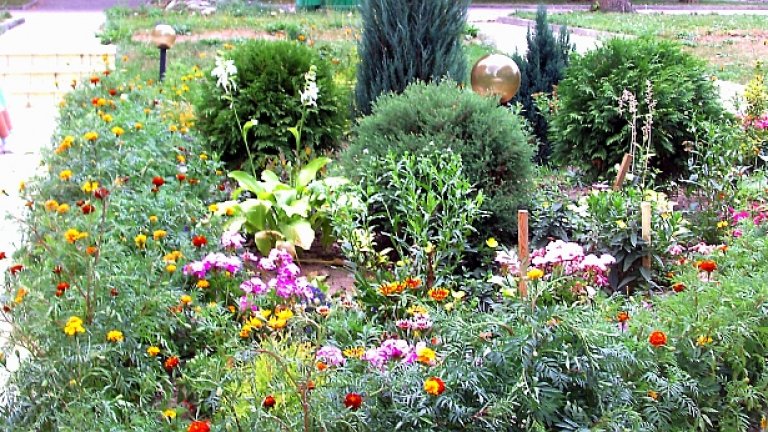 Може би ще изглежда толкова хубаво, колкото при другите, когато го оправим