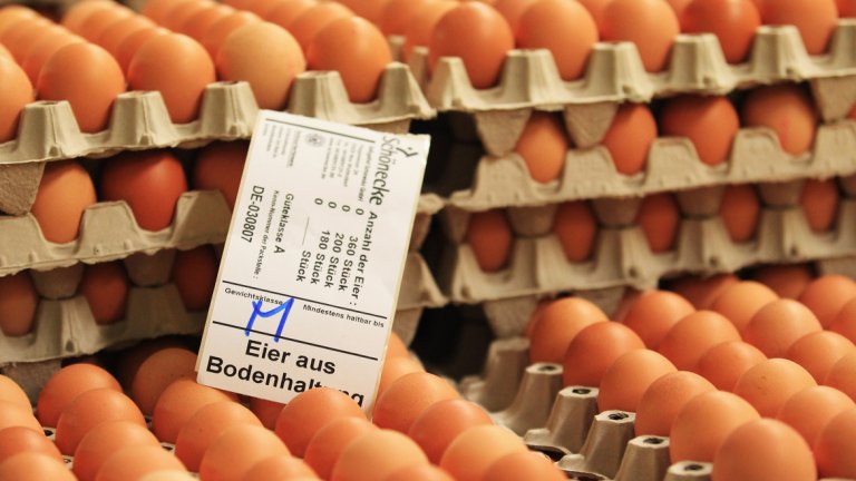 Супермаркети в Германия и Холандия изтеглят милиони яйца