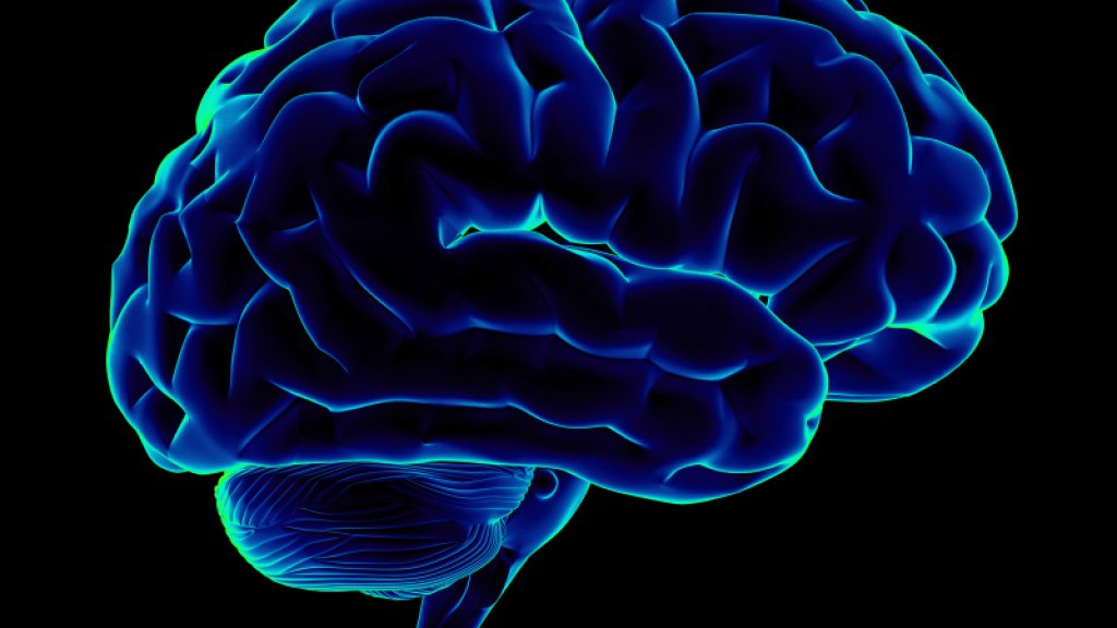 HumanBrain