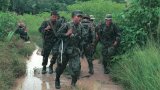 През по-голямата част от своето съществуване ФАРК представлява най-голямата бунтовническа организация в Колумбия