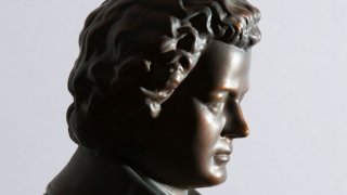 Косата на Бетовен разкрива, че е страдал от отравяне с олово