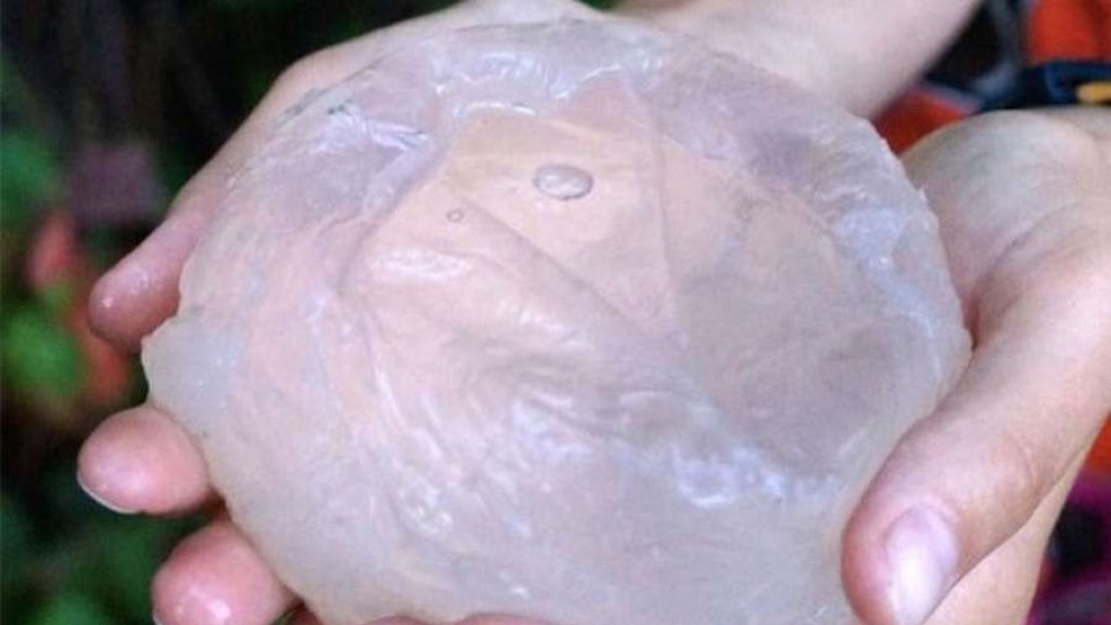 Ooho-the-Future-of-Bottled-Water-3