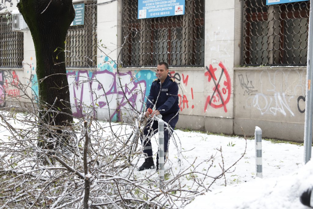 До 35 см сняг в София - спрял ток и промени в градския транспорт (снимки)