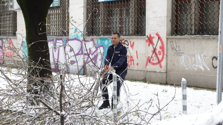 До 35 см сняг в София - спрял ток и промени в градския транспорт (снимки)