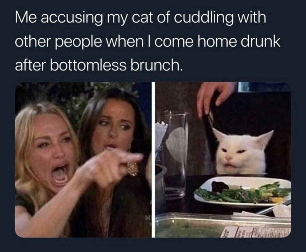 Това е първото меме, което се появява с колажа на Тейлър и Смъдж. Надписът гласи: "Аз, когато обвинявам котката си, че се е гушкала с други хора, след като се прибера от пиянски брънч".