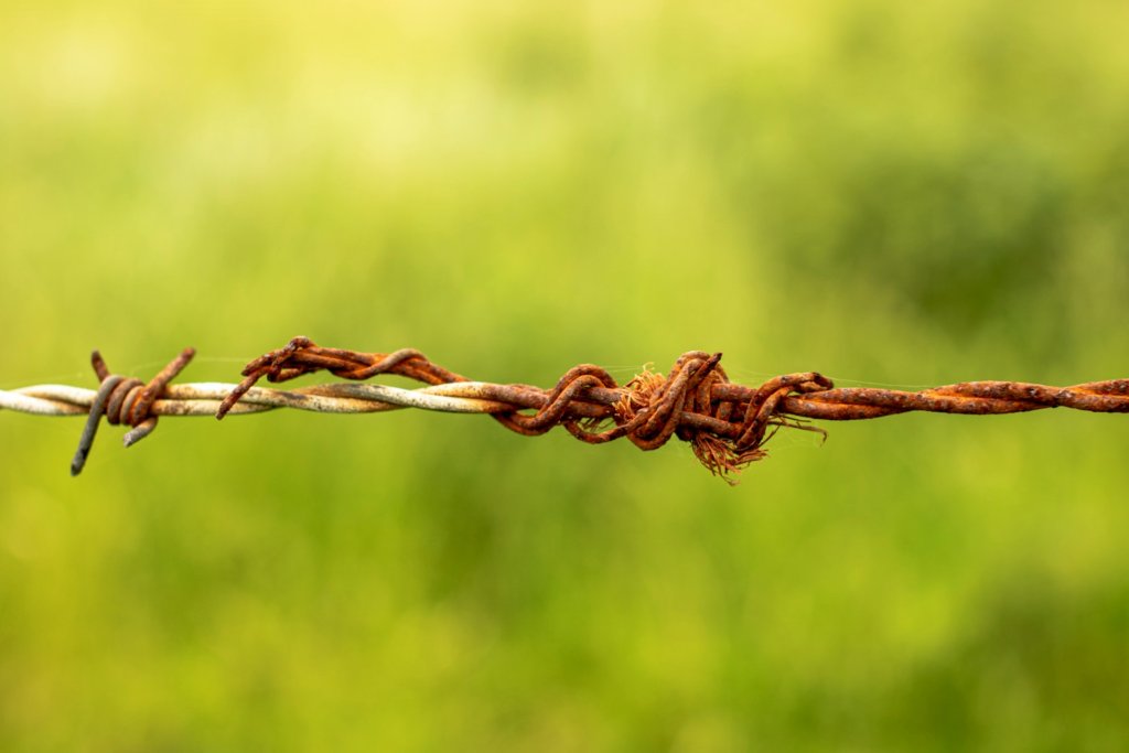 david-griffiths-mAtrUgjHJKQ-unsplash