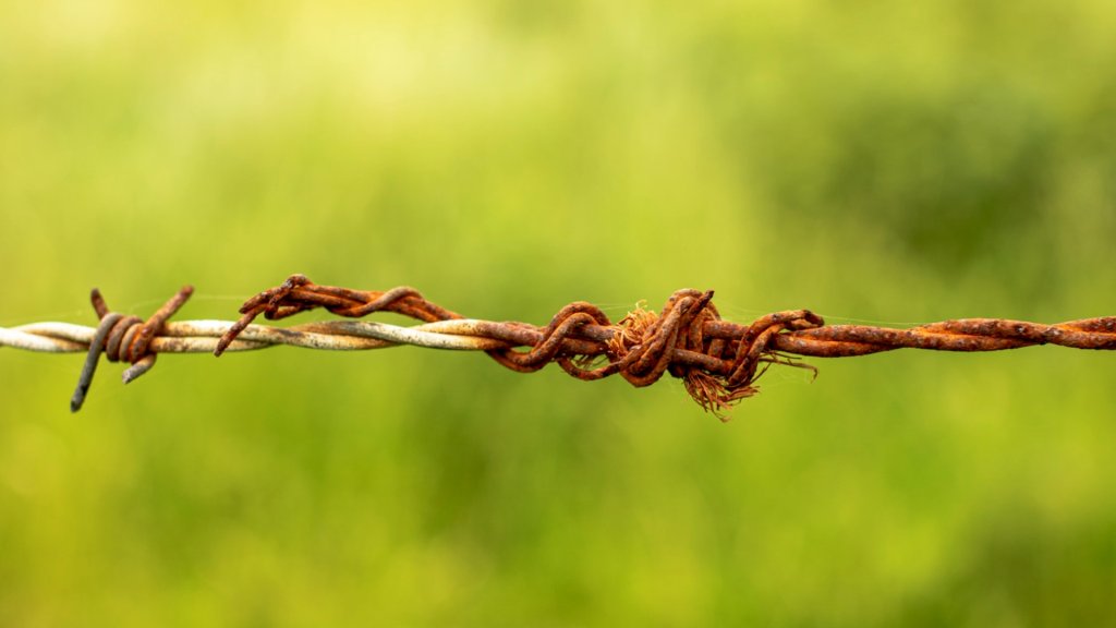 david-griffiths-mAtrUgjHJKQ-unsplash