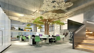 Комфорт, места за релакс и такива за общуване с колегите - тайните на удобния офис