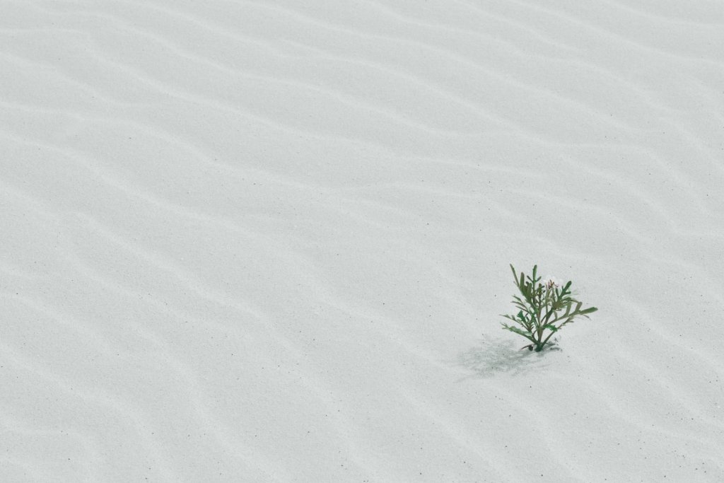 jill-heyer-03ztkGdYWU8-unsplash