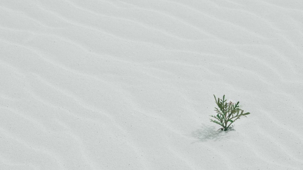 jill-heyer-03ztkGdYWU8-unsplash