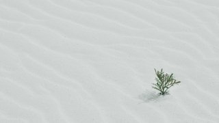 jill-heyer-03ztkGdYWU8-unsplash