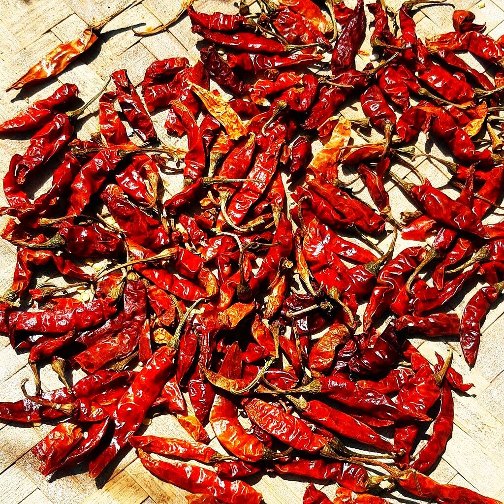 Dried_Capsicum_annuum-Red_Chilli_Pepper_on_Nanglo