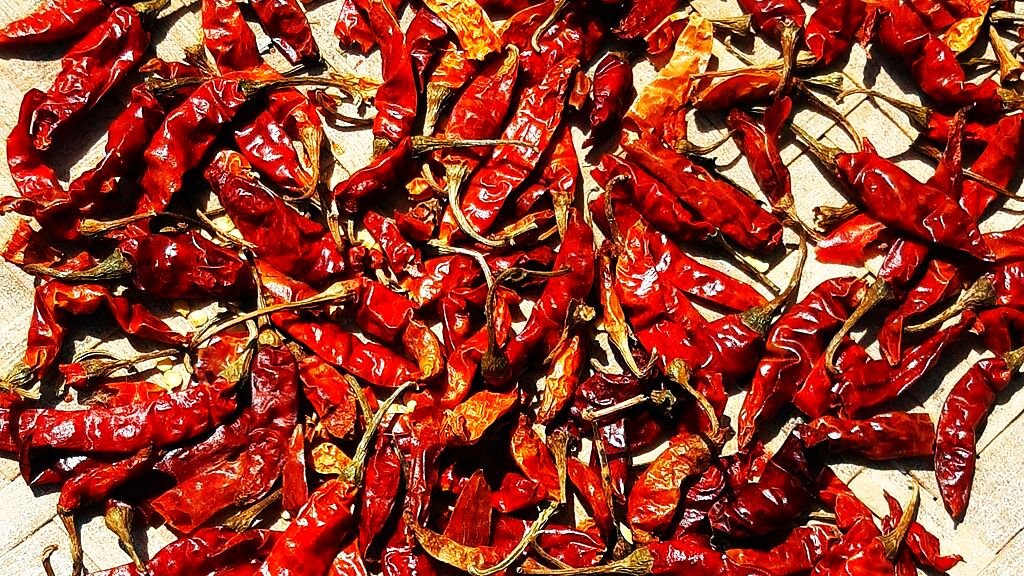 Dried_Capsicum_annuum-Red_Chilli_Pepper_on_Nanglo