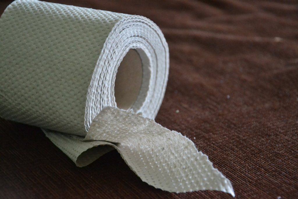 toilet-paper-313820_1920