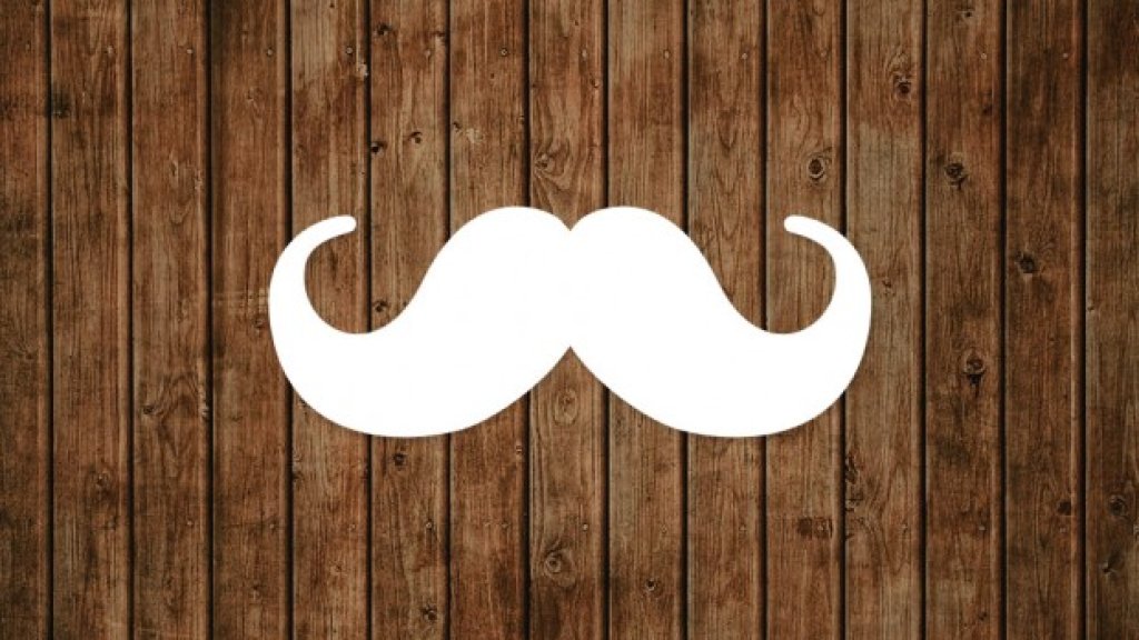 movember-business-opportunity1