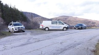 Съдебната експертиза показва, че изстрелите са произведени с револвер "Колт"