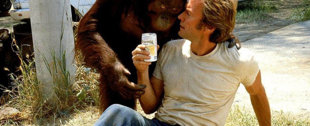 „Каквото и да правиш, губиш"
Това е филмът, който ще бъде запомнен с колаборацията между Клинт и един ужасно чаровен орангутан. Но химията между Истууд и примата не може да спаси това творческо бедствие. Това е заглавието, което стана олицетворение на отчаянието на сценаристите, които, изчерпали всяка свежа идея, решават да снабдят своя централен персонаж с маймуна в ролята на лоялен партньор, наричан жаргонно и „сайдкик".
„Каквото и да правиш, губиш" е легендарно слаб филм, а Истууд изглежда нелепо в компанията на талантливия орангутан.