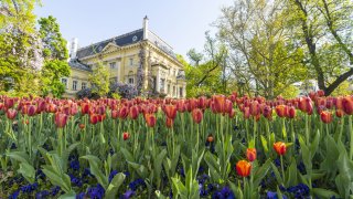 Уикендът на Великден обаче ще е по-хладен от обичайното за април време