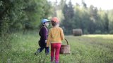 Кърлежите: големият ужас на всеки родител