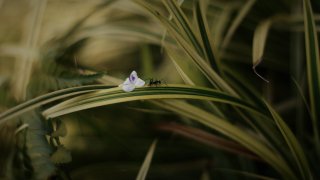 pexels-iqwan-alif-1206084