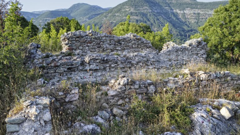 Останките от няколко жилищни сгради, обрасли с гъста растителност