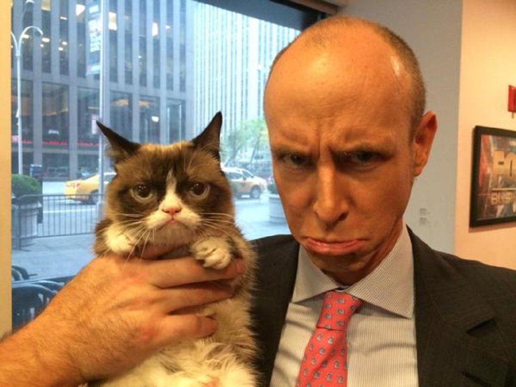 котки, brexit, даниел ханан